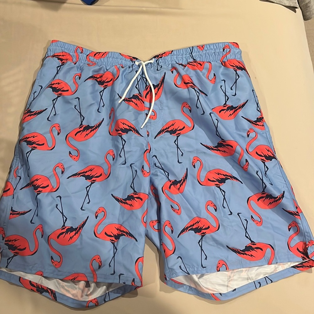 Men’s Flamingo Swim Trunks
